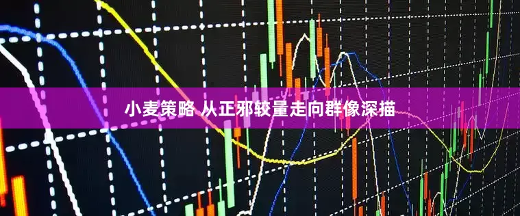 小麦策略 从正邪较量走向群像深描