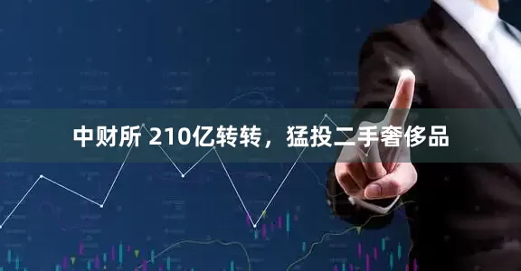 中财所 210亿转转，猛投二手奢侈品