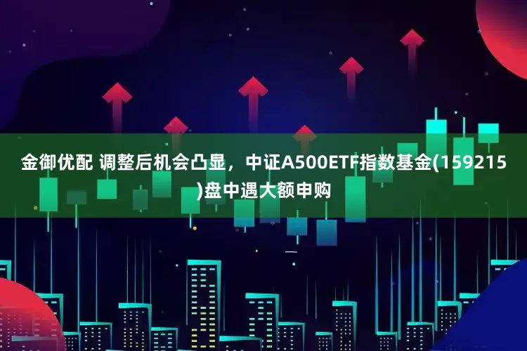 金御优配 调整后机会凸显，中证A500ETF指数基金(159215)盘中遇大额申购