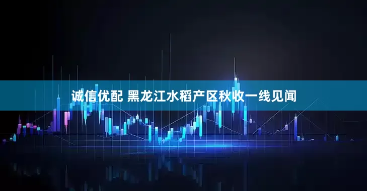 诚信优配 黑龙江水稻产区秋收一线见闻